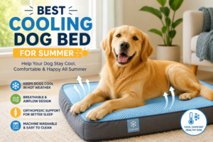 Best cooling dog bed for summer helping a Golden Retriever stay cool and comfortable indoors