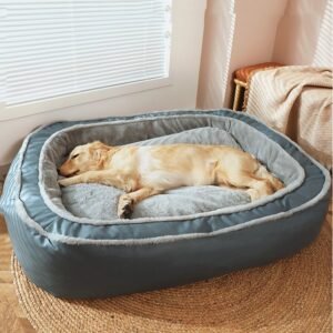 Best Heated Dog Beds for Winter: Keep Your Dog Warm & Comfortable