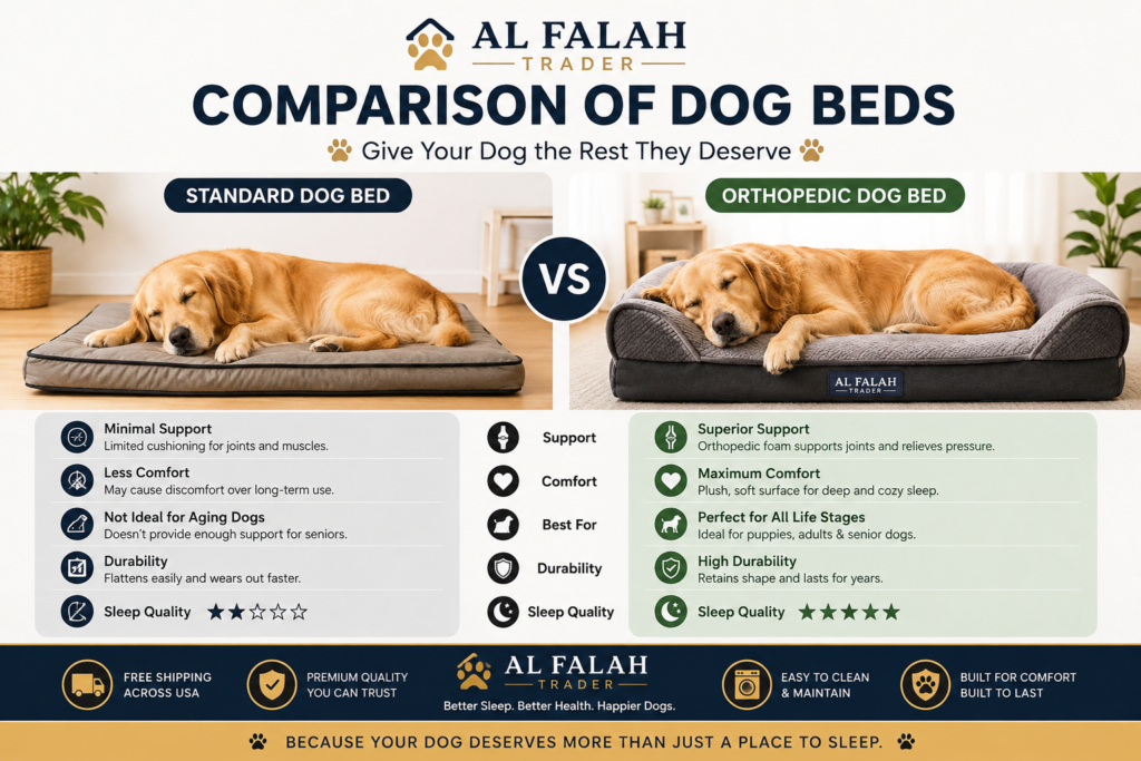 comfortable dog beds
